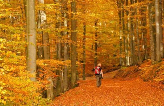 3 Sterne Ferienwohnung Pape Schmallenberg Zewnętrze zdjęcie